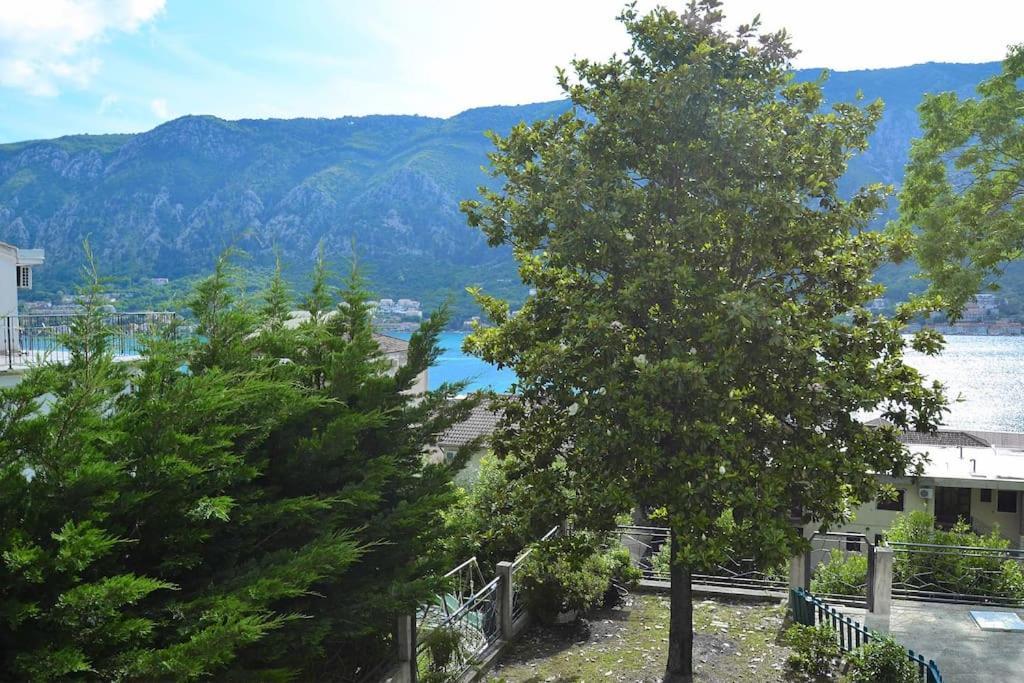 Urban Escape For Two In Kotor Daire Dış mekan fotoğraf
